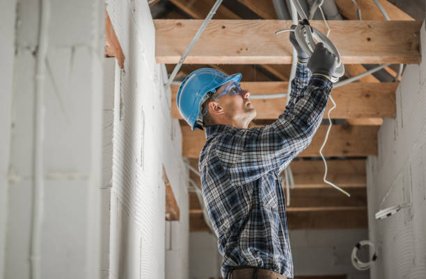 Best Electric Panel Repair  in Rutherford, PA